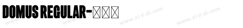 Domus Regular字体转换 Domus Regular字体转换